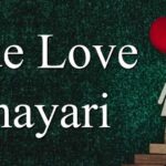 True Love Shayari | 189+ सच्चे प्यार पर शायरी