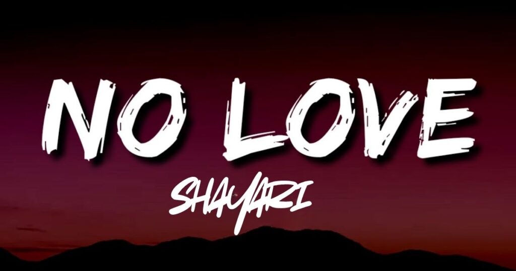 Best 99+ No Love Shayari in Hindi & English | Read & Explore Now