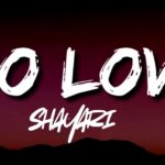 Best 99+ No Love Shayari in Hindi & English | Read & Explore Now 